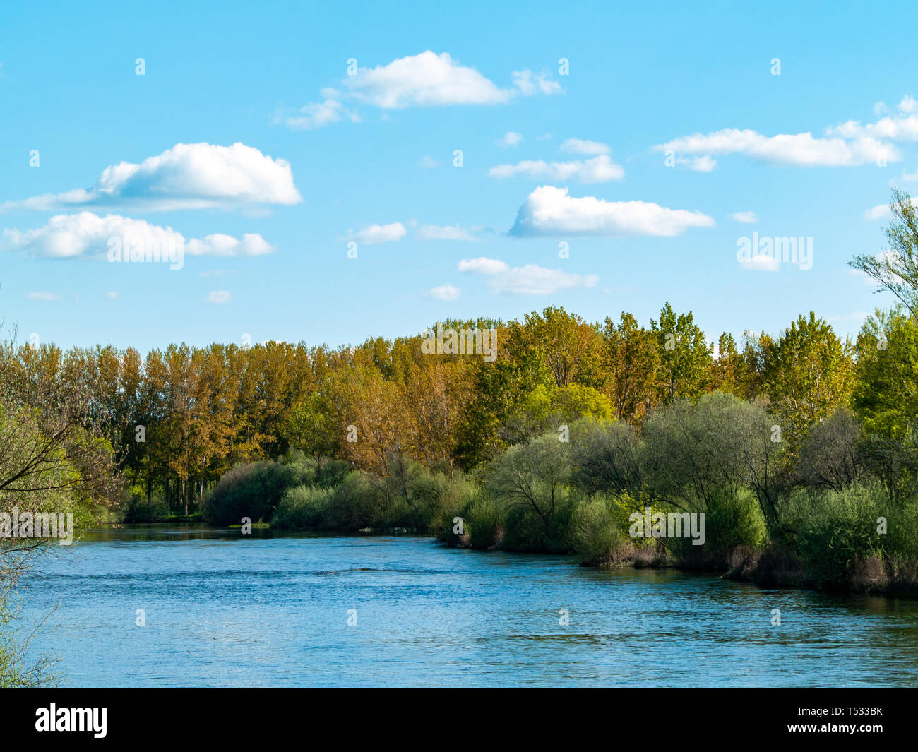 Landschaft von einem Fluss mit ruhigem Wasser im Frühjahr Stockfoto