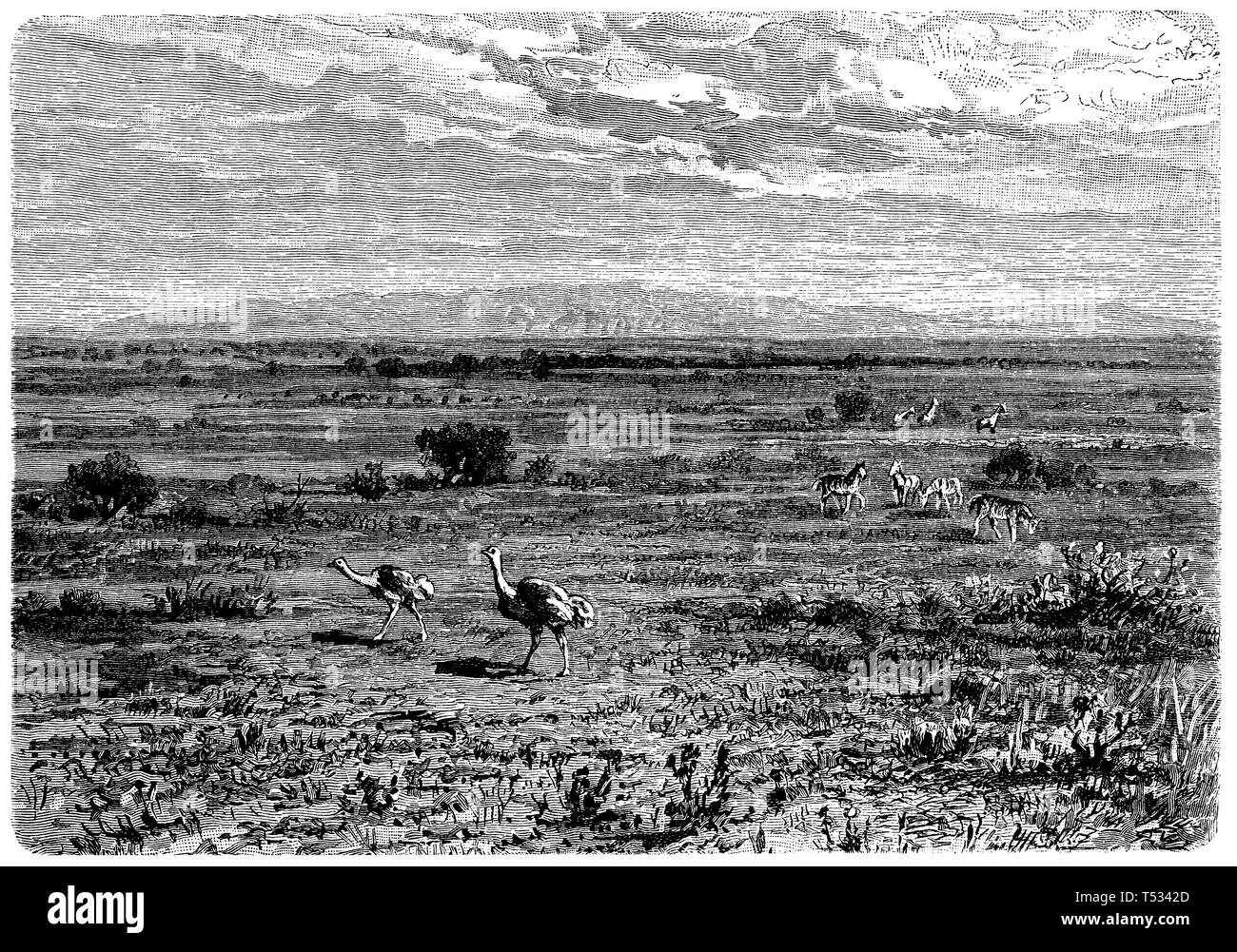 Ostafrikanischen Steppe, anonym 1897 Stockfoto