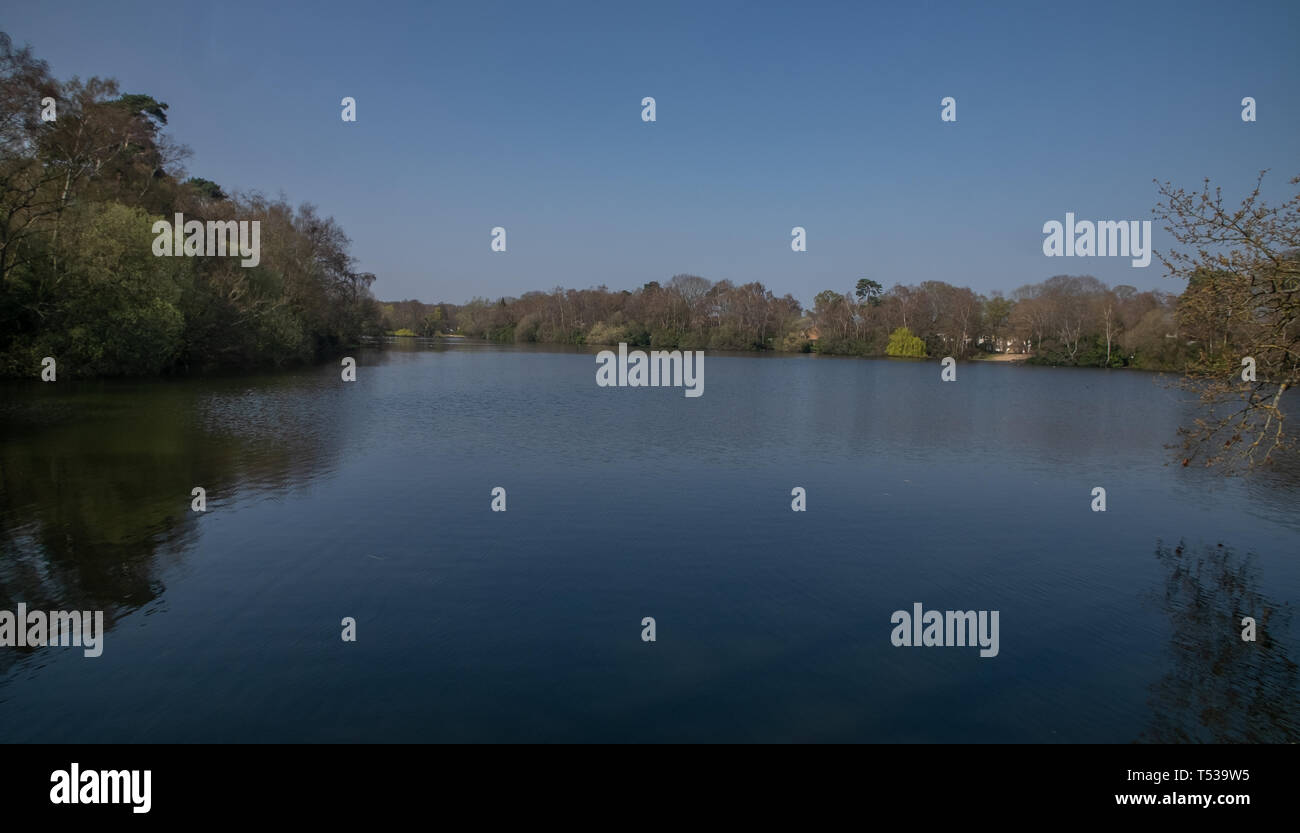 South Lake - Woodley in der Berkshire Stockfoto