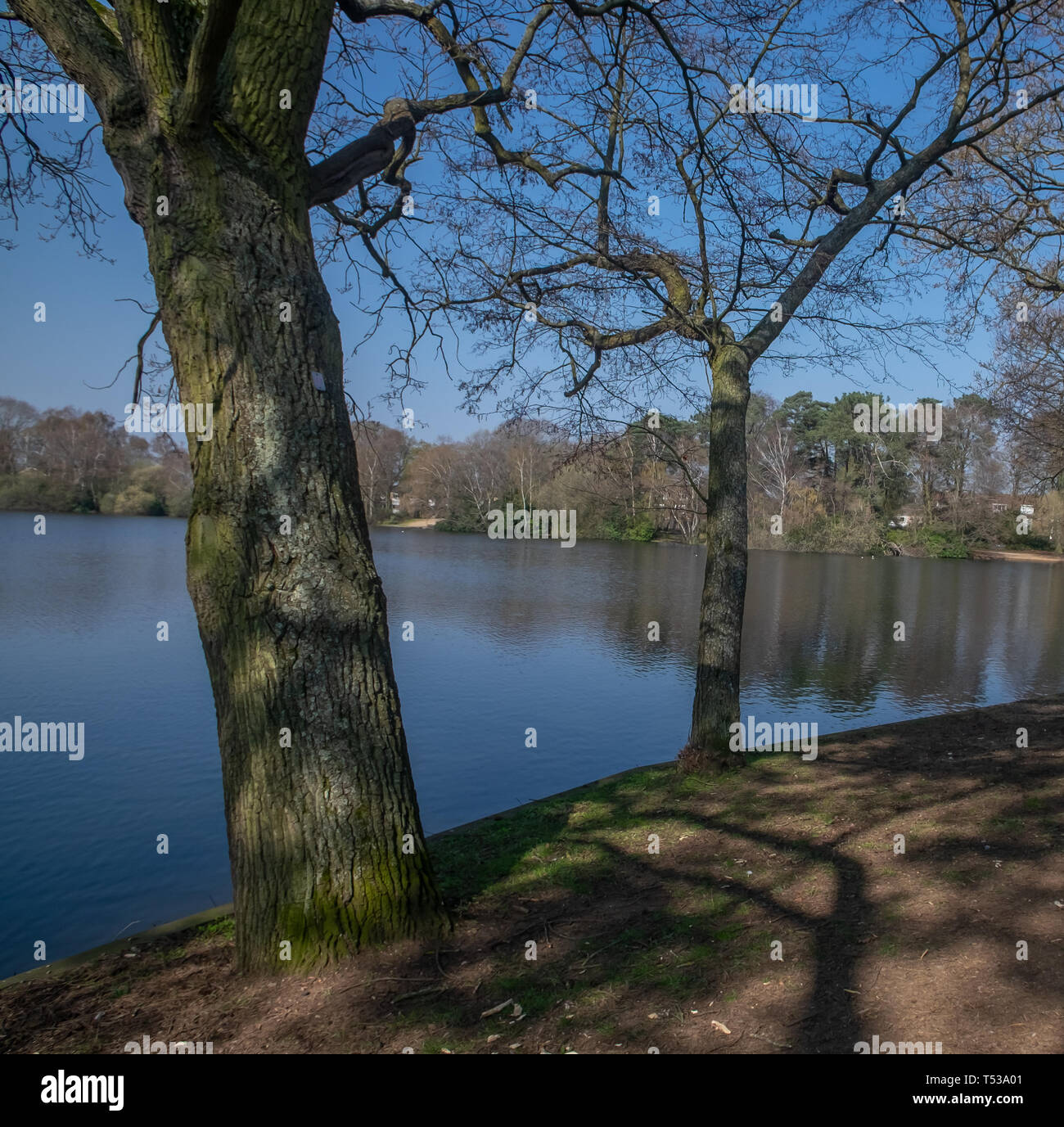 South Lake - Woodley in der Berkshire Stockfoto