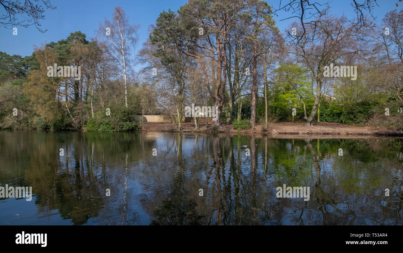 South Lake - Woodley in der Berkshire Stockfoto