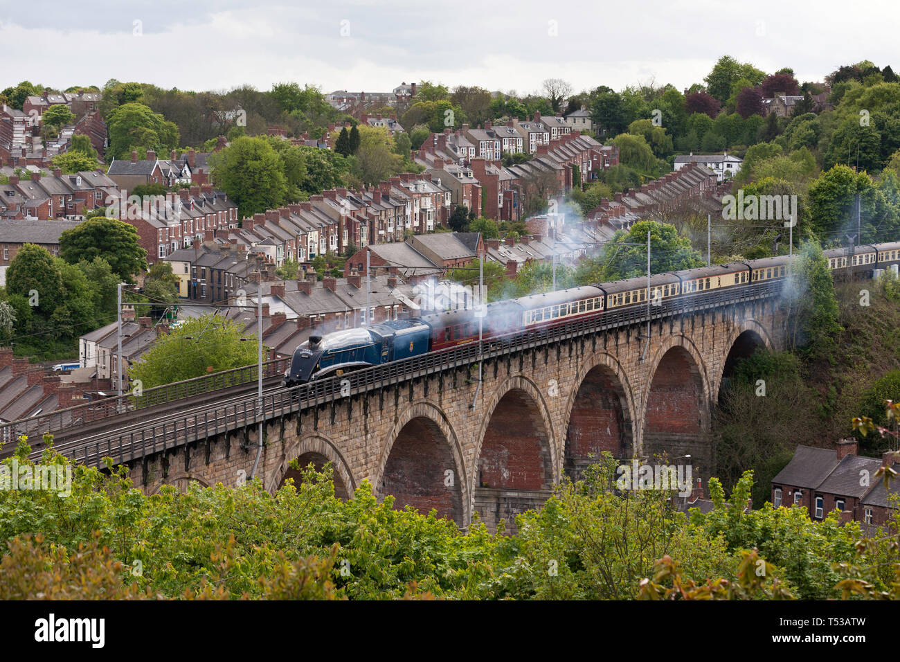 EX LNER optimierte A4 pacific Dampflok60007 Sir Nigel Gresley Köpfe Norden über Durham City Viadukt, Mai 2009, England, Großbritannien Stockfoto