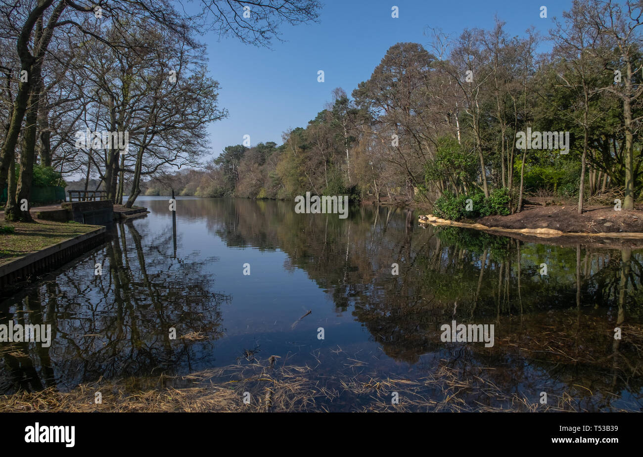 South Lake - Woodley in der Berkshire Stockfoto