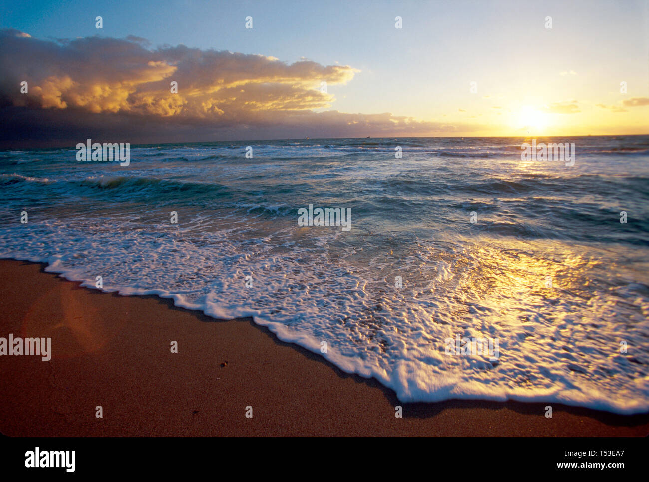 Miami Beach Florida, Surfen im Atlantik bei Sonnenaufgang, Tagesanbruch, Tageslicht, FL133 Stockfoto
