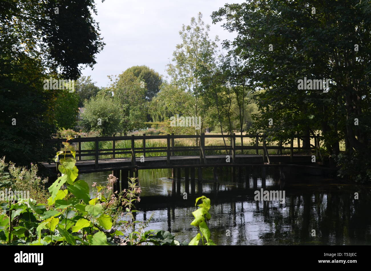 Hohe Bildqualität der Brücke von der Natur umgeben. 3696 Pixel 2448 Pixel. Stockfoto