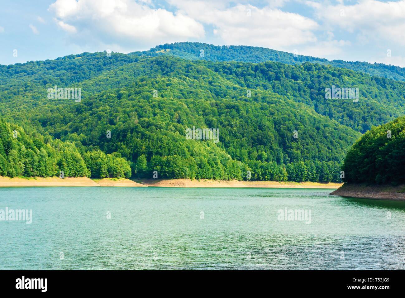 Wasser Stausee in den Bergen. schöne Natur Landschaft im Sommer. Wald am Ufer um. Wunderbar sonnigen Tag. Lage Tereblja Rika HPP Stockfoto