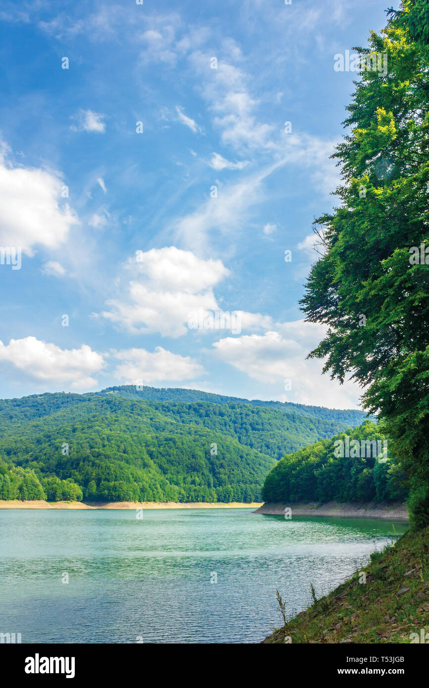 Wasser Stausee in den Bergen. schöne Natur Landschaft im Sommer. Wald am Ufer um. wunderbar sonniger Tag mit Fluffy Clouds auf der Sk Stockfoto
