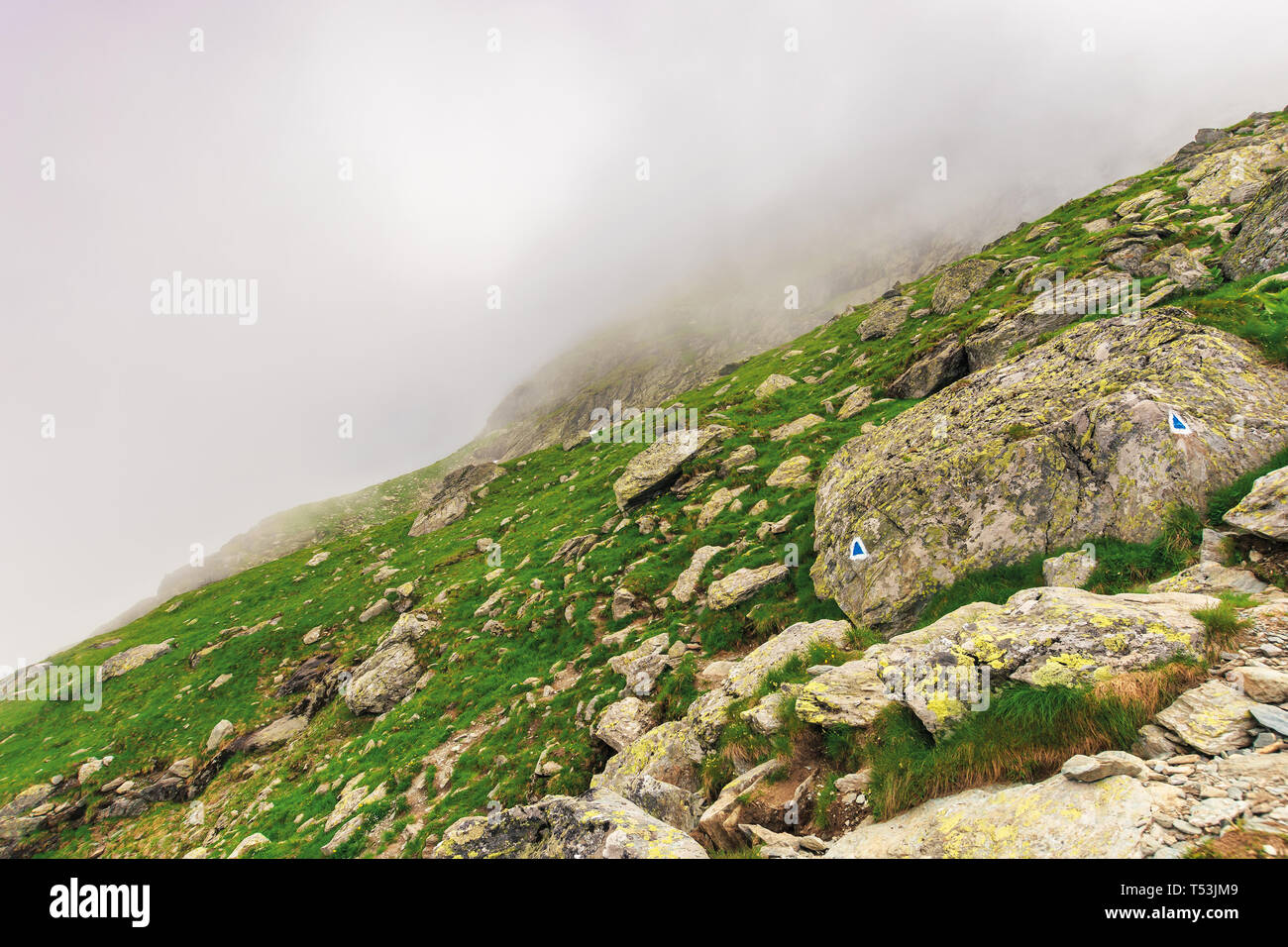 Wandern bergauf im Nebel. riesige Felsen auf einer grasigen Hang. spooky Natur Landschaft. Moody Wetter Zustand. extreme Tourismus Konzept Stockfoto