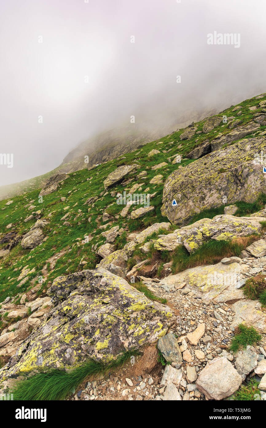 Wandern bergauf im Nebel. riesige Felsen auf einer grasigen Hang. spooky Natur Landschaft. Moody Wetter Zustand. extreme Tourismus Konzept Stockfoto