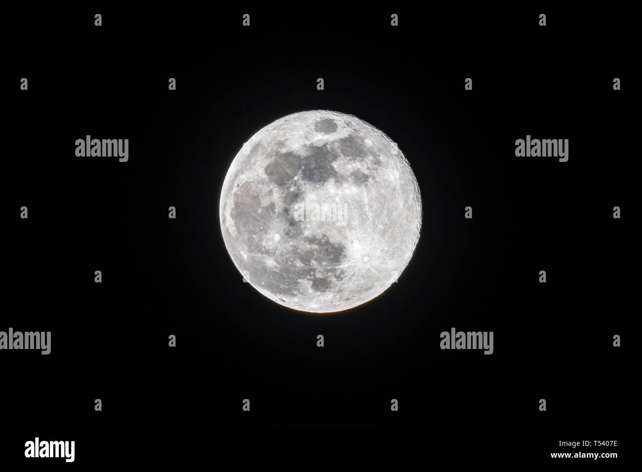 Voller rosa Mond über den Nachthimmel von Albuquerque, New Mexico, USA Stockfoto