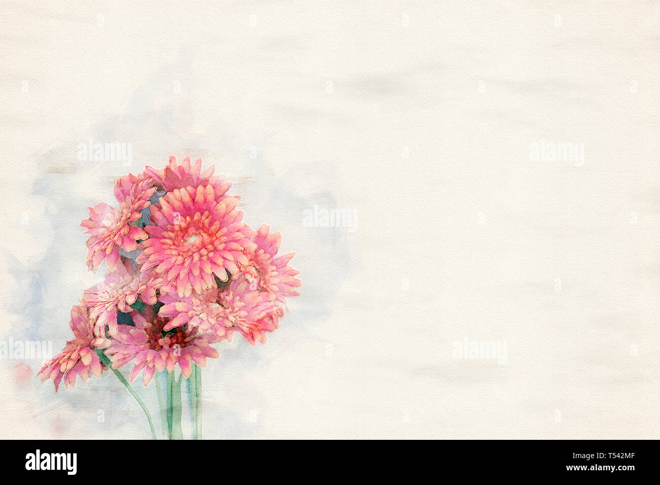 Rote Blumen auf weißem Hintergrund in Aquarell Stockfoto