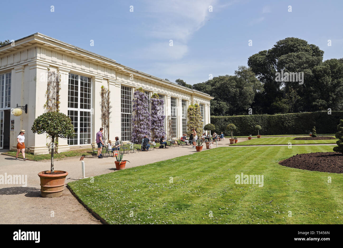 Die Orangerie, Cafe, Mount Edgcumbe Park Cornwall 2019 Ostern. Stockfoto