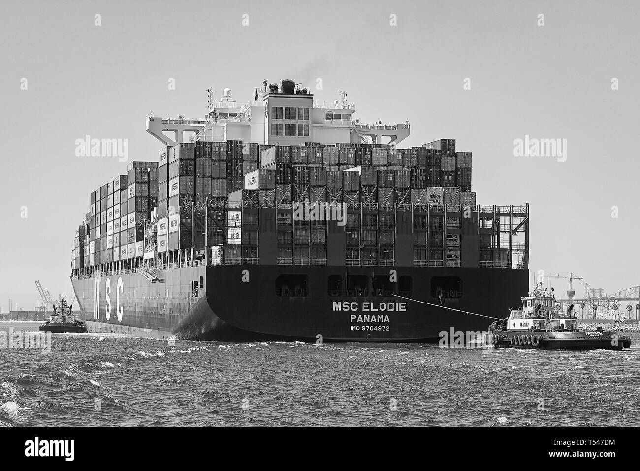 Schwarz-weiß-Foto des Containerschiffs MSC ELODIE, begleitet von Schleppern, auf dem Weg zum Long Beach Container Terminal, Kalifornien, USA. Stockfoto