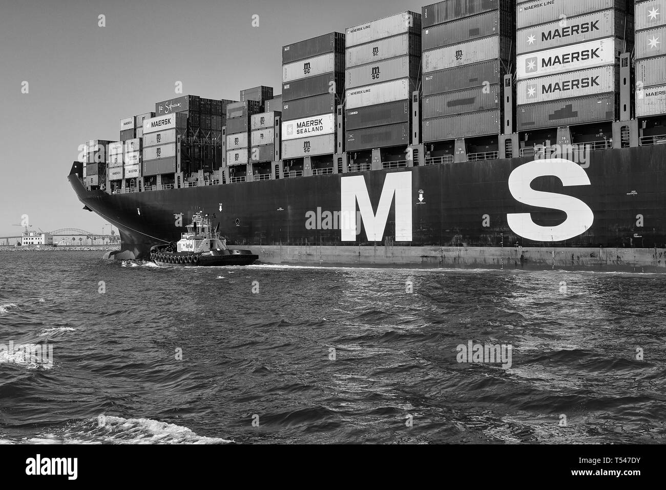 Schwarz-weiß-Foto des Riesen-Containerschiffs MSC ELODIE, begleitet von Schleppern, die in Richtung Long Beach Container Terminal, Kalifornien, USA, dampfen. Stockfoto