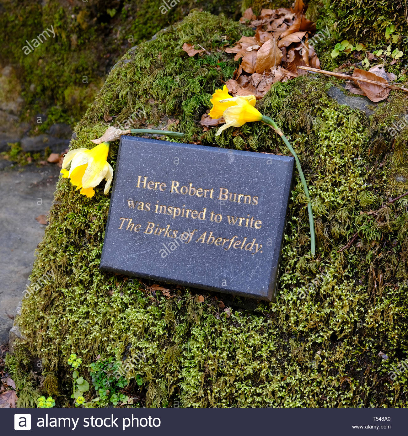 Gedenktafel zur Erinnerung an Dichter Robert Burns inspiriert, sein Gedicht Der birks Aberfeldy zu verfassen, an der Birks Aberfeldy Perthshire, Schottland Stockfoto