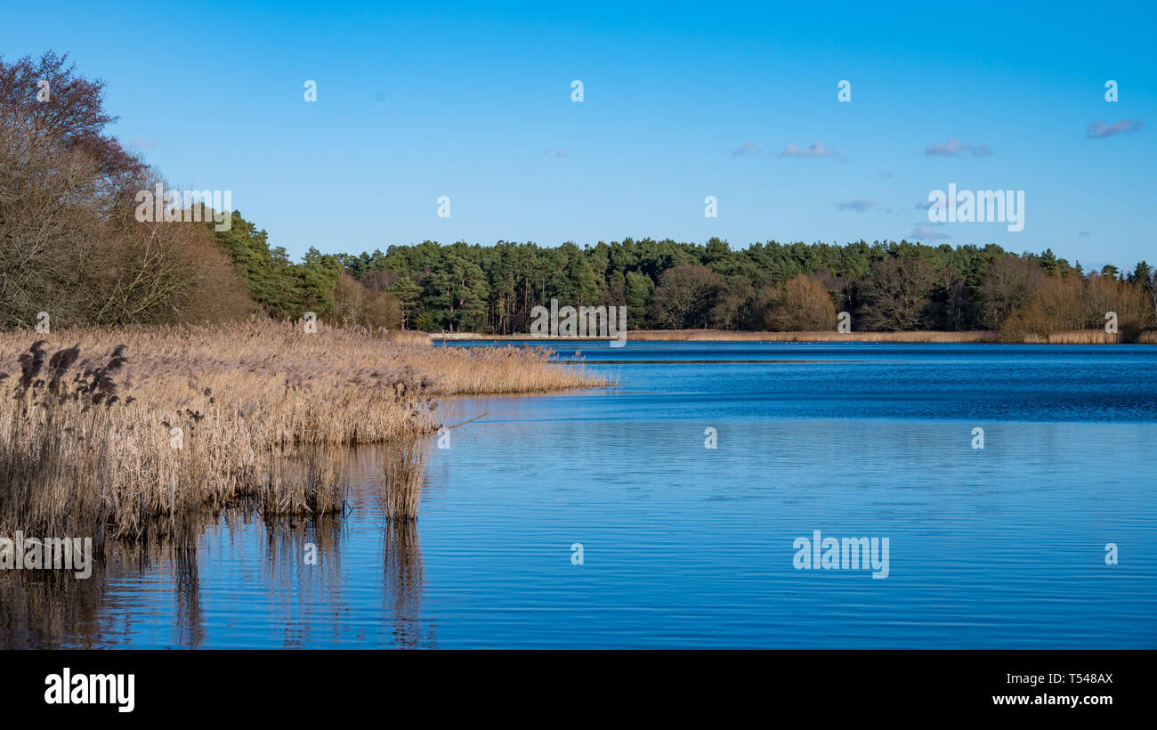 Frensham Pond Stockfoto