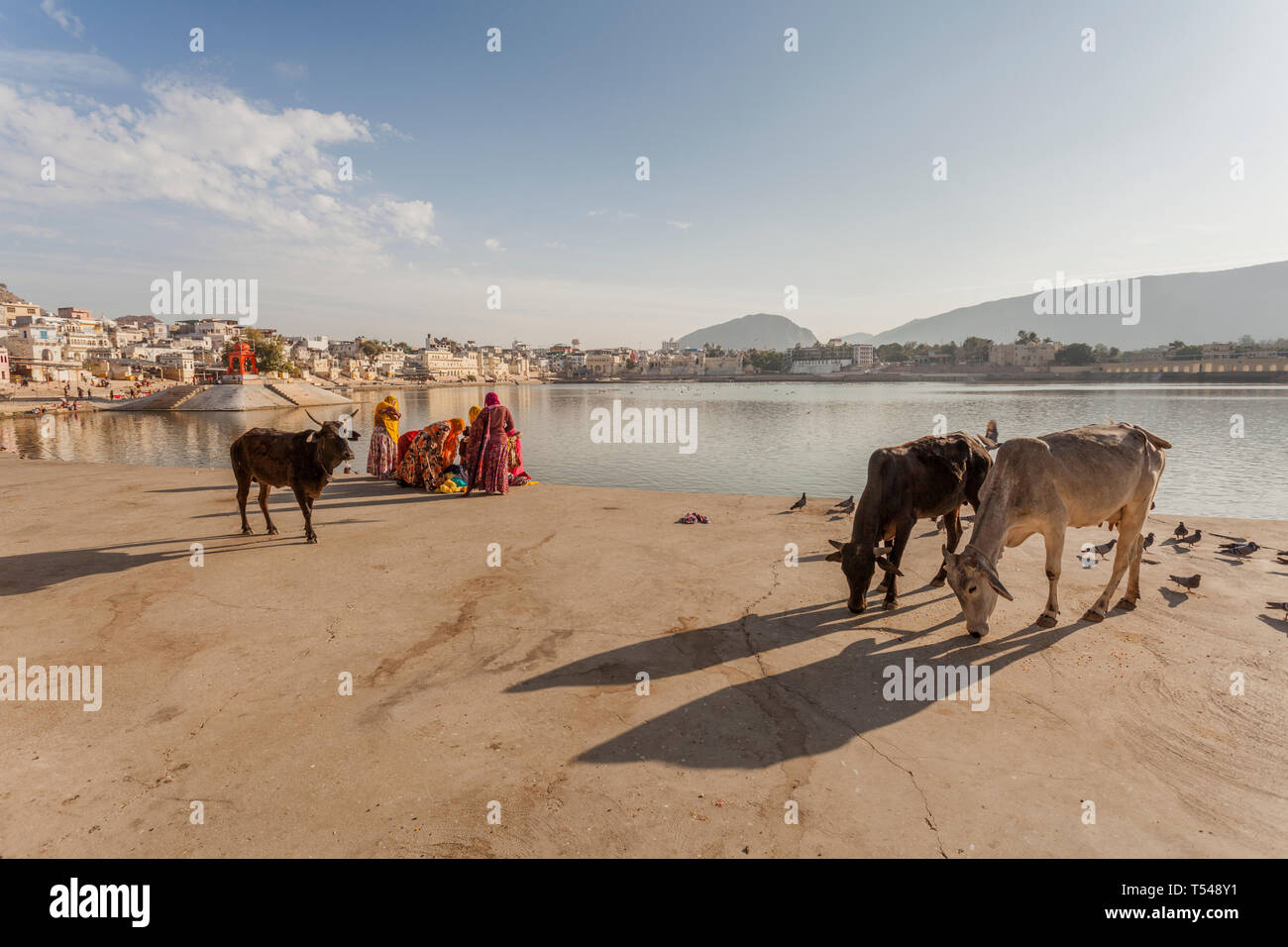 Pushkar See, Pushkar, Rajasthan, Indien Stockfoto