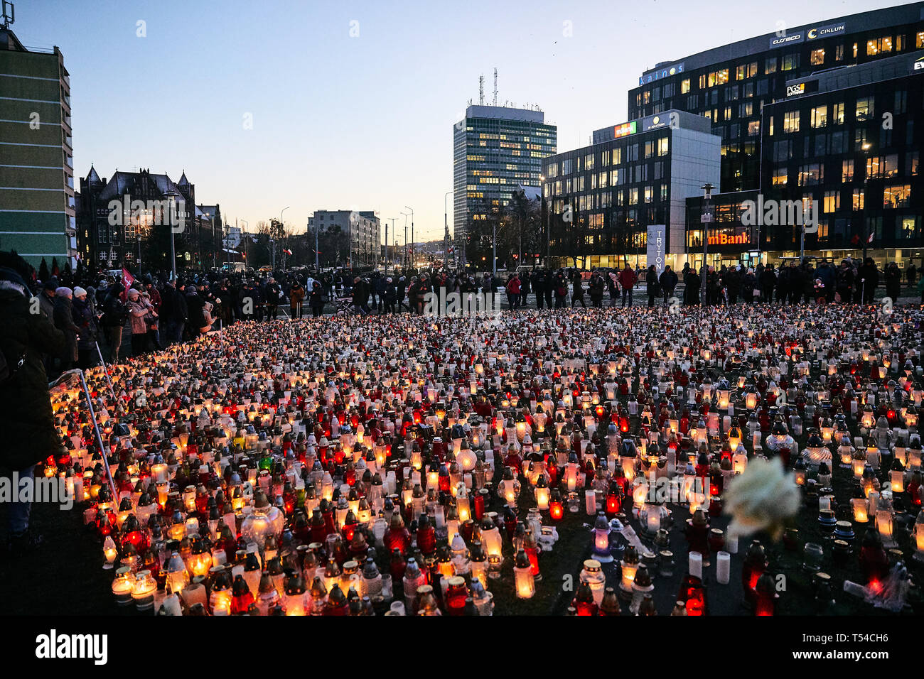 Tausende von Kerzen an der Solidarität in Danzig, Polen, am Tag vor der Beerdigung von brutal Bürgermeister von Danzig Pawel Ottar ermordet. Stockfoto Tausende von Kerzen an der Solidarität in Danzig, Polen, am Tag vor der Beerdigung von brutal Bürgermeister von Danzig Pawel Ottar ermordet. Stockfoto