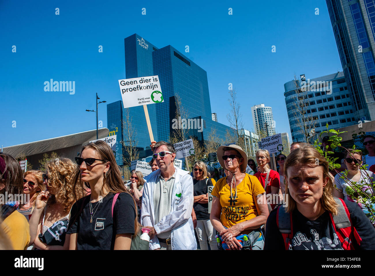 Rotterdam, Südholland, Niederlande. 20 Apr, 2019. Eine Gruppe von pro Tieren Aktivisten sind einige Reden hören während des Protestes. Die nichtstaatliche Organisation "Tierrechte" eine Demonstration für den Ersatz von Tierversuchen organisiert. Hunderte von Menschen in der Innenstadt von Rotterdam gesammelt an die niederländische Regierung zu fordern Stopp Subventionierung Tierversuche und andere Alternativen. Credit: Ana Fernandez/SOPA Images/ZUMA Draht/Alamy leben Nachrichten Stockfoto