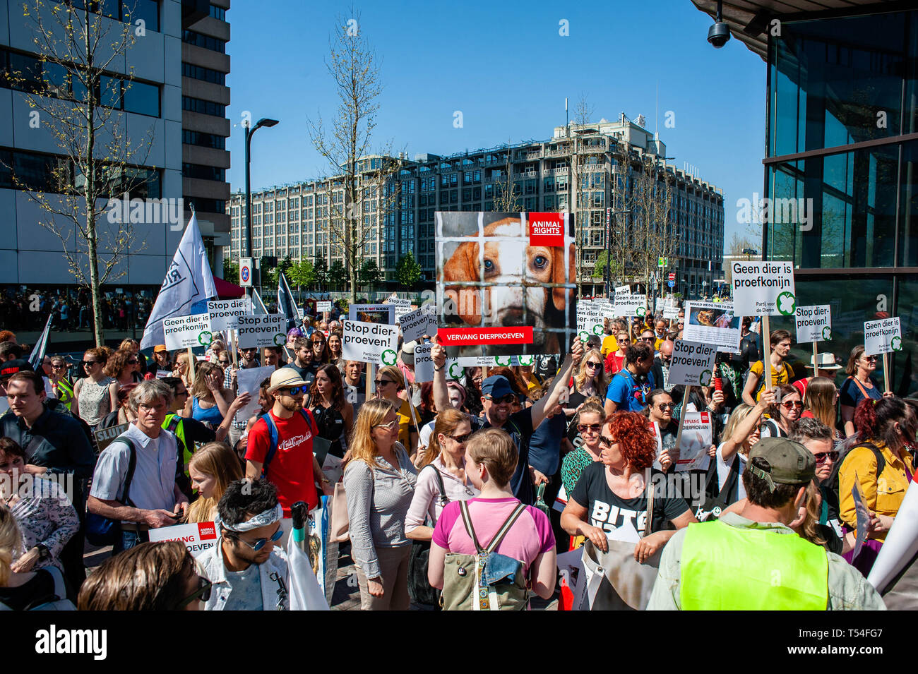 Rotterdam, Südholland, Niederlande. 20 Apr, 2019. Eine Gruppe von pro Tieren Aktivisten werden gesehen, Plakate während des Protestes. Die nichtstaatliche Organisation "Tierrechte" eine Demonstration für den Ersatz von Tierversuchen organisiert. Hunderte von Menschen in der Innenstadt von Rotterdam gesammelt an die niederländische Regierung zu fordern Stopp Subventionierung Tierversuche und andere Alternativen. Credit: Ana Fernandez/SOPA Images/ZUMA Draht/Alamy leben Nachrichten Stockfoto