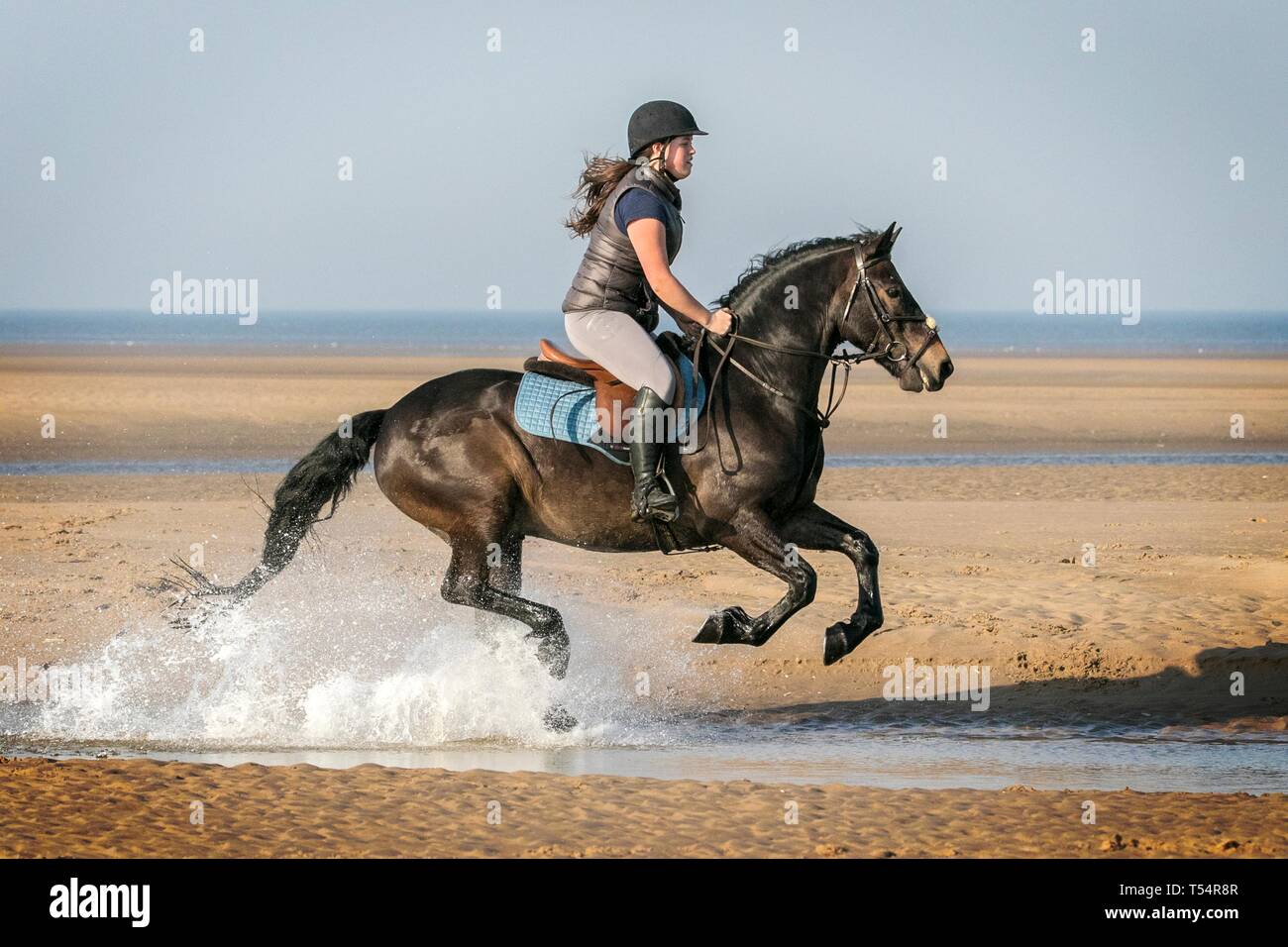 Asiatisches Teen Reitet Auf Ihrem Geliebten Asiatisches Teen Reitet Auf Ihrem Geliebten