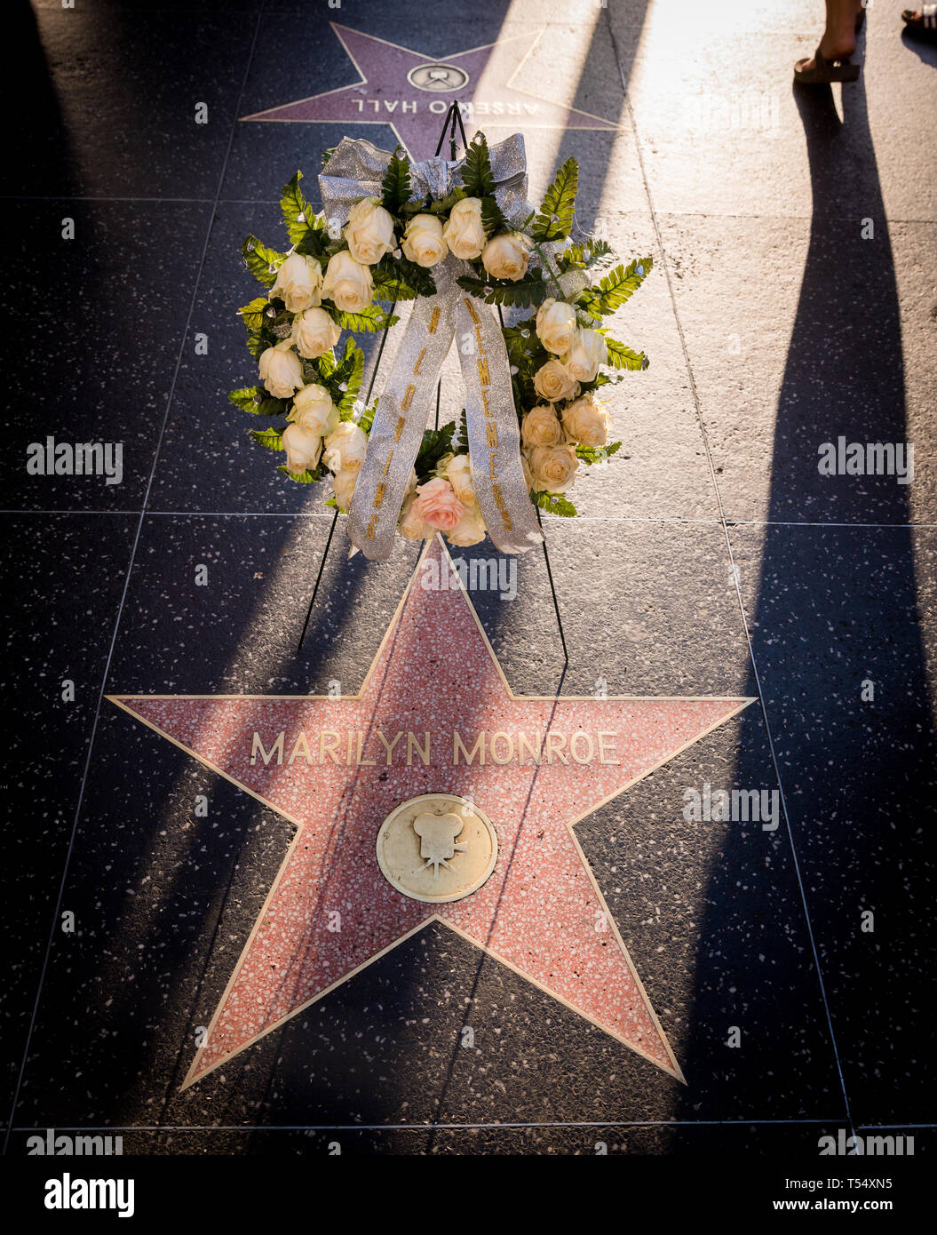 Marilyn Monroe Star, mit späten Nachmittag lange Schatten, auf dem Hollywood Boulevard Walk of Fame in Los Angeles, Kalifornien. Stockfoto