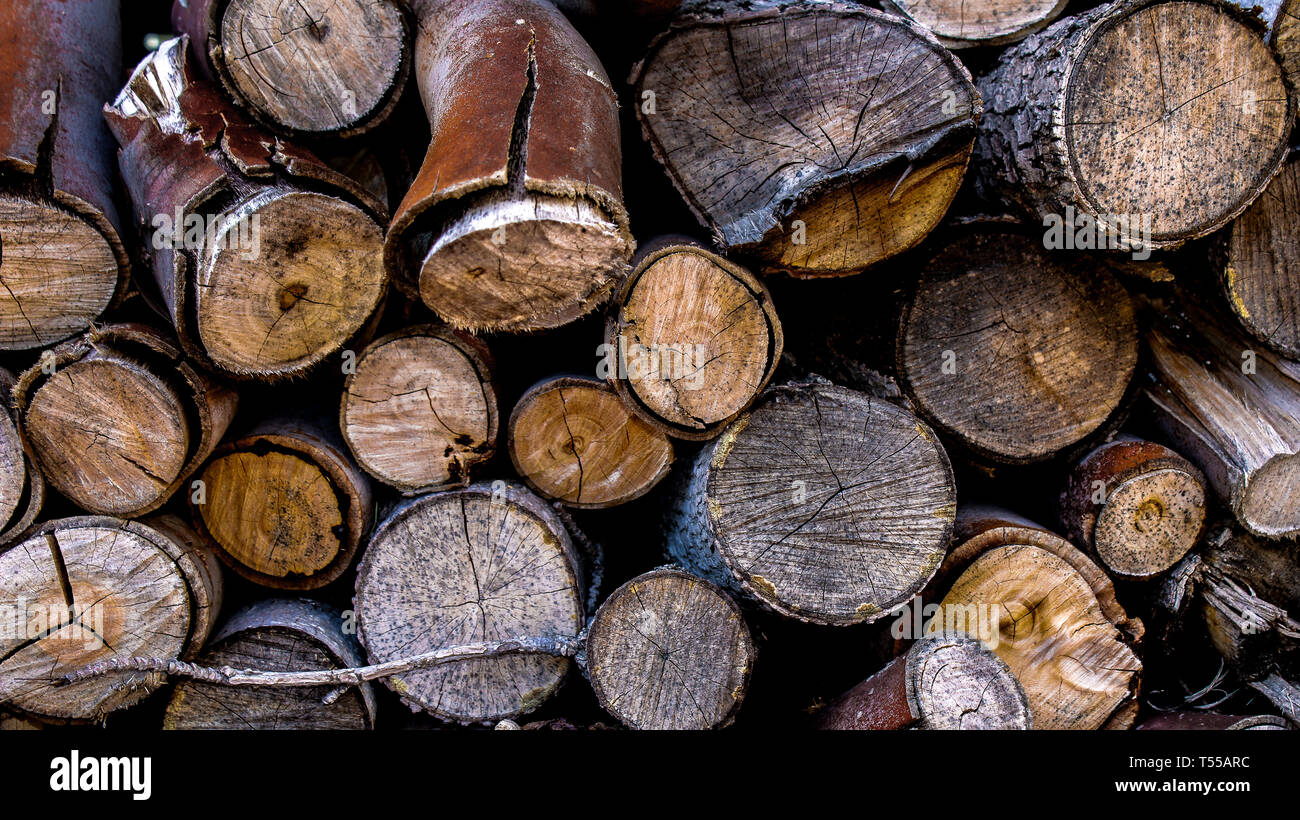 Holz log Farbe Stapel Stockfoto