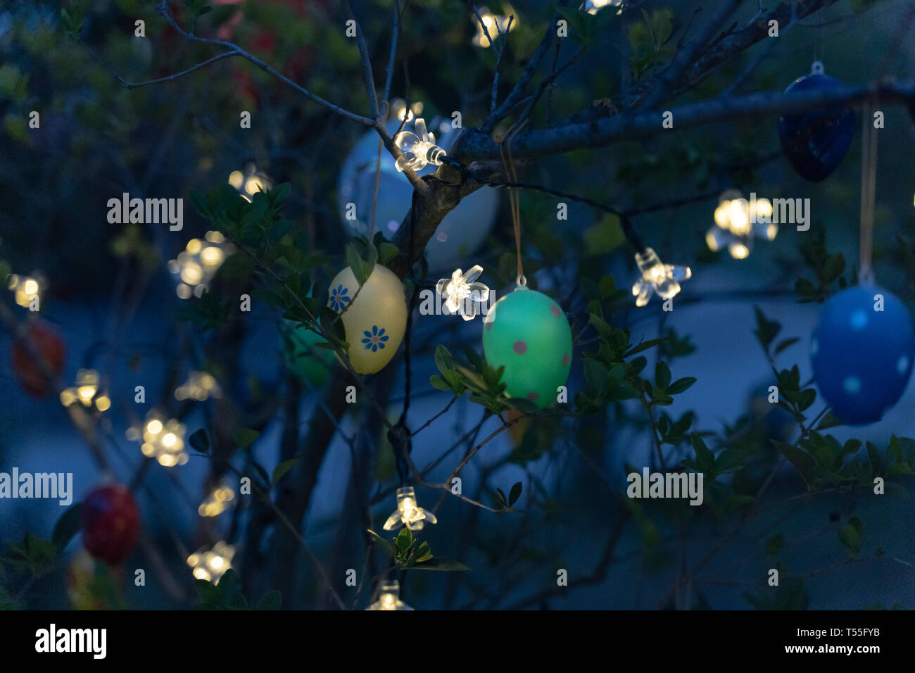Ostern Eier Hangen Von Einem Baum Und Sind Indirekt Mit Einer Lichterkette Beleuchtet Stockfotografie Alamy