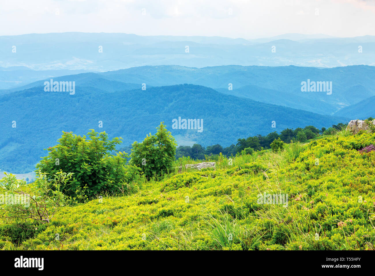 Berglandschaft an trüben Sommer 12.00. grüne Wiesen auf den Hügeln. schöne Natur Landschaft. bewaldeten entfernten Ridge Stockfoto
