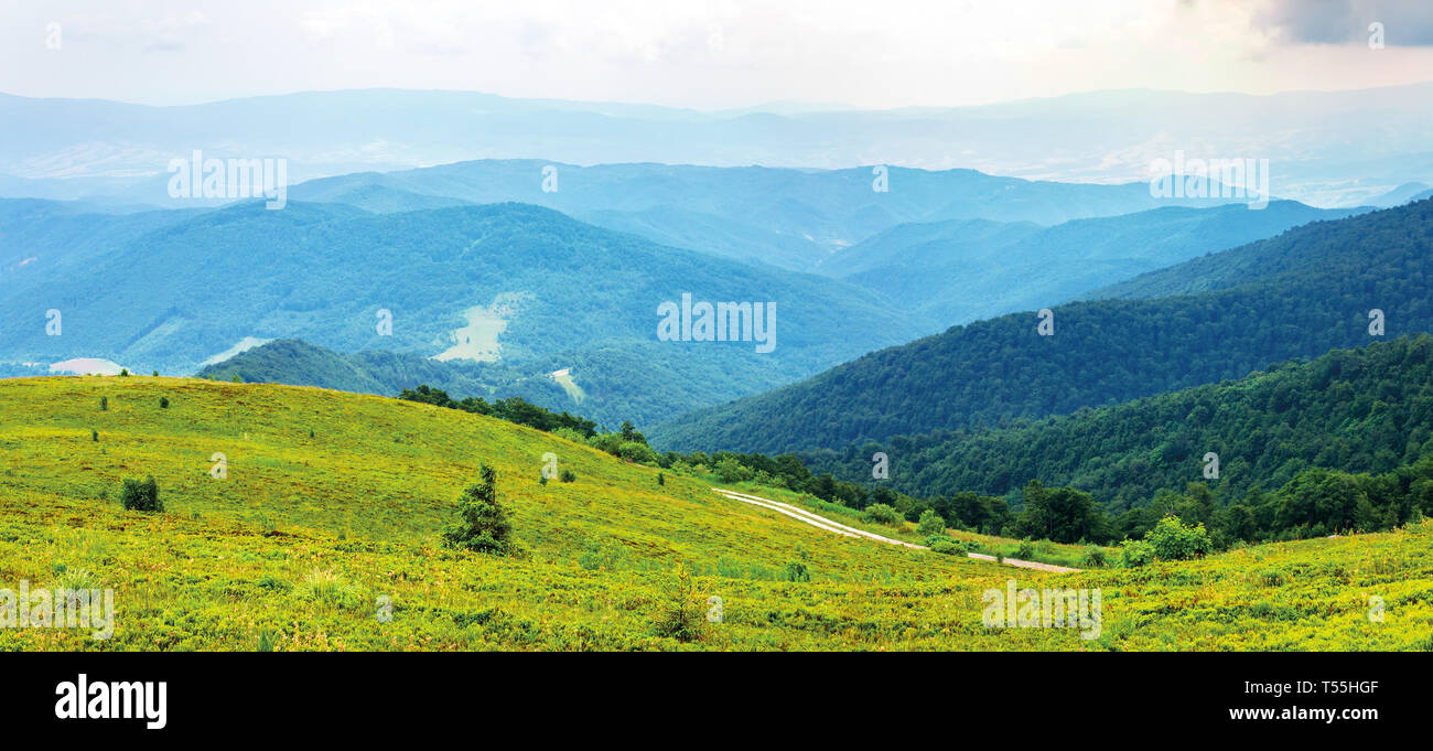 Bergpanorama auf der trübe Sommer 12.00. Straße windet bergauf grünen Wiesen. schöne Natur Landschaft. bewaldeten entfernten Ridge Stockfoto