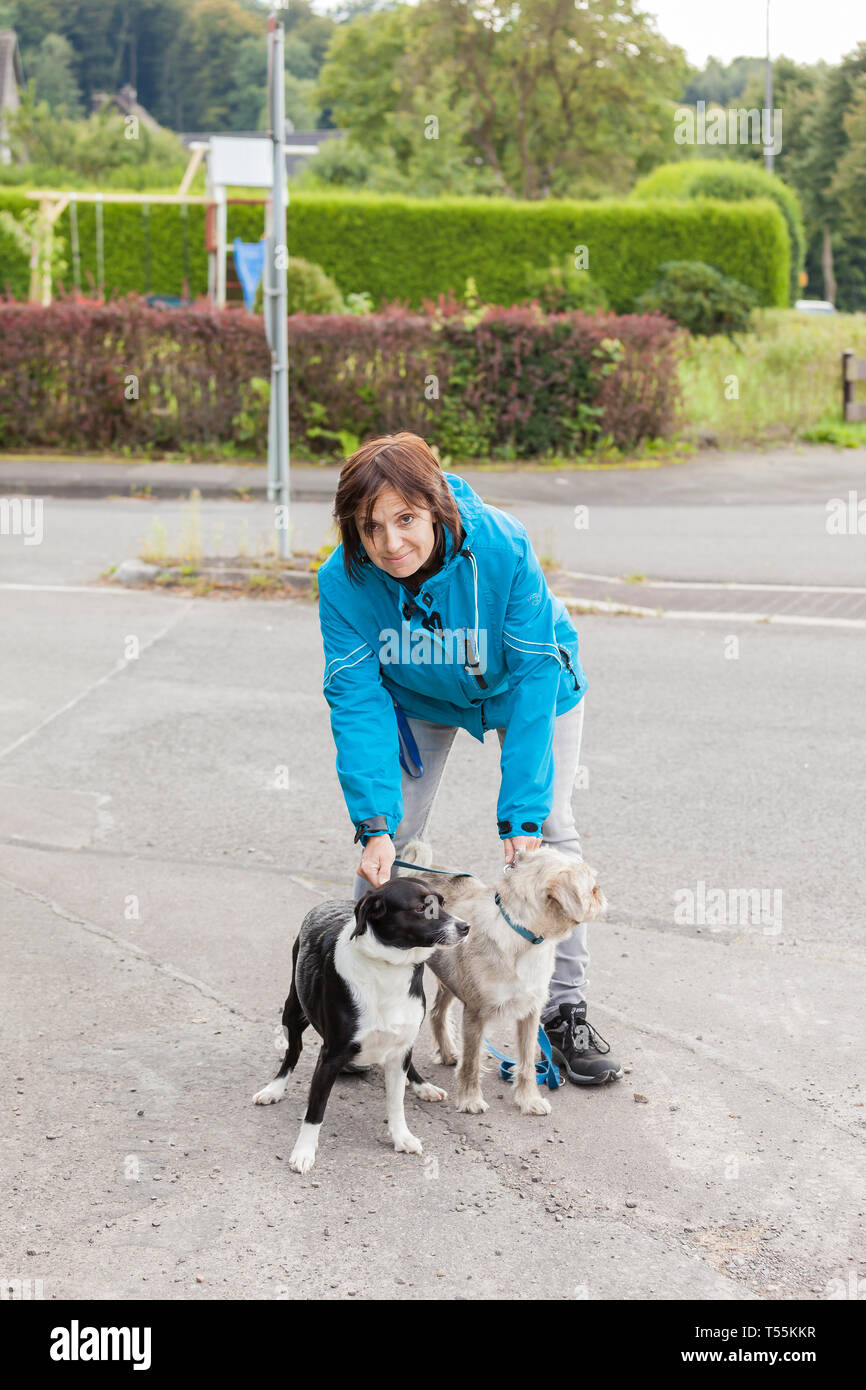 Eine Frau tut Leine ihre zwei Hunde Stockfoto