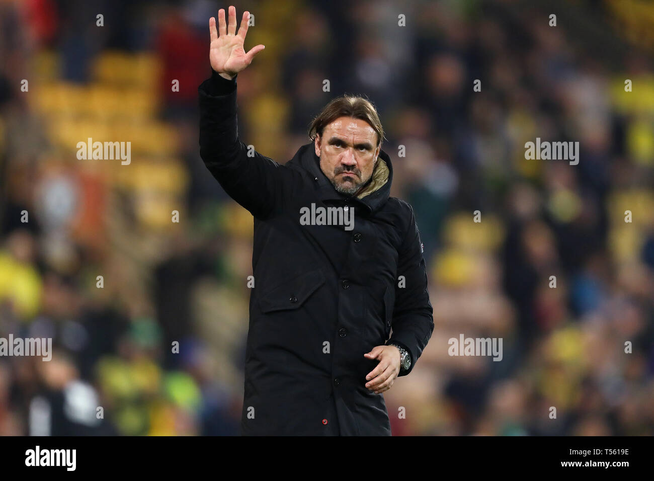 Manager von Norwich City, Daniel Farke - Norwich City v Sheffield Mittwoch, Sky Bet Meisterschaft, Carrow Road, Norwich - 19. April 2019 Editorial Uns Stockfoto