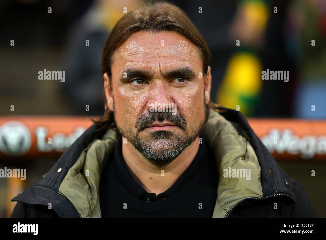 Manager von Norwich City, Daniel Farke - Norwich City v Sheffield Mittwoch, Sky Bet Meisterschaft, Carrow Road, Norwich - 19. April 2019 Editorial Uns Stockfoto