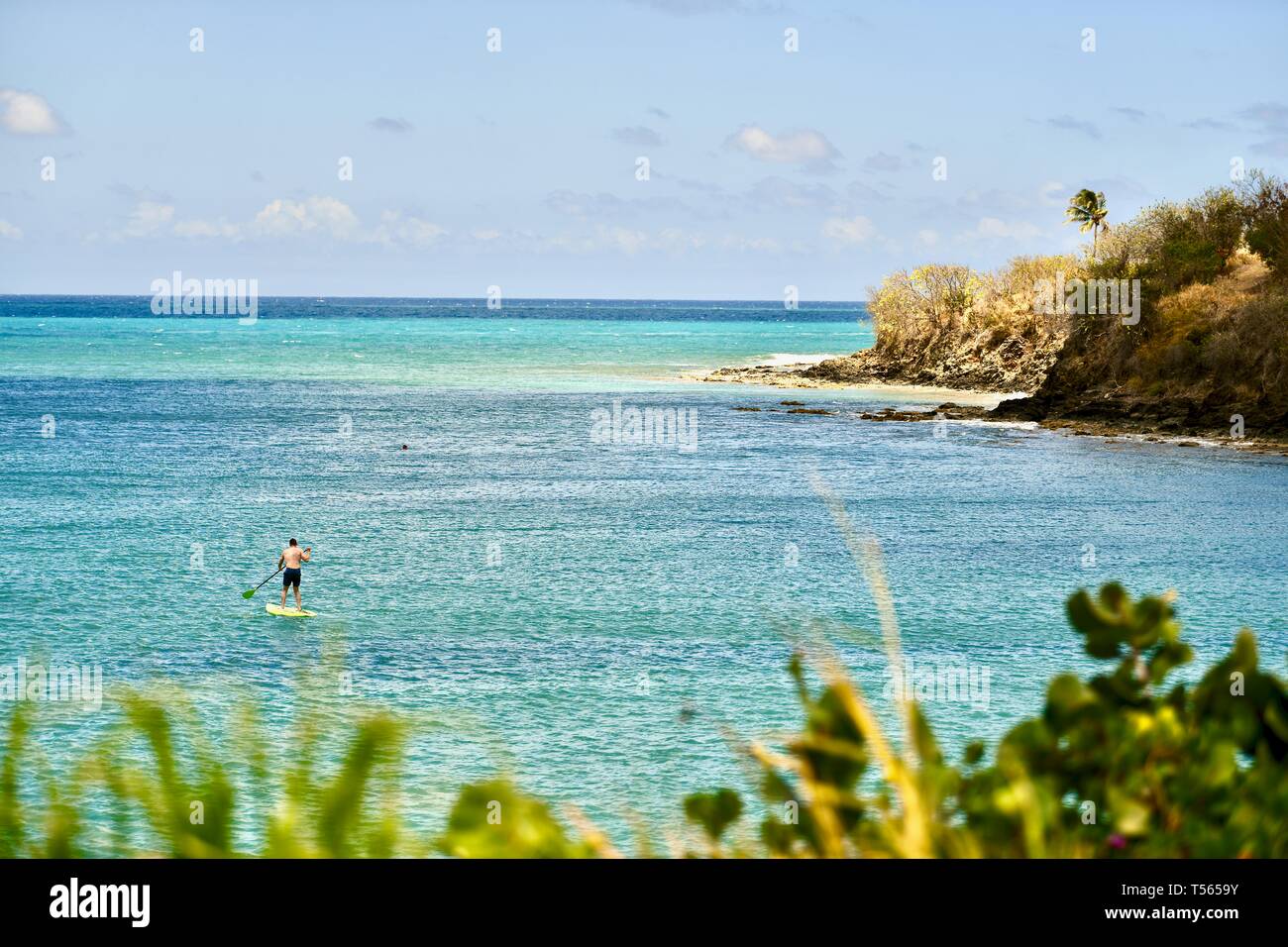 Touristische reiten Stand up Paddle Board während auf Ferien in St. Croix, USVI Stockfoto