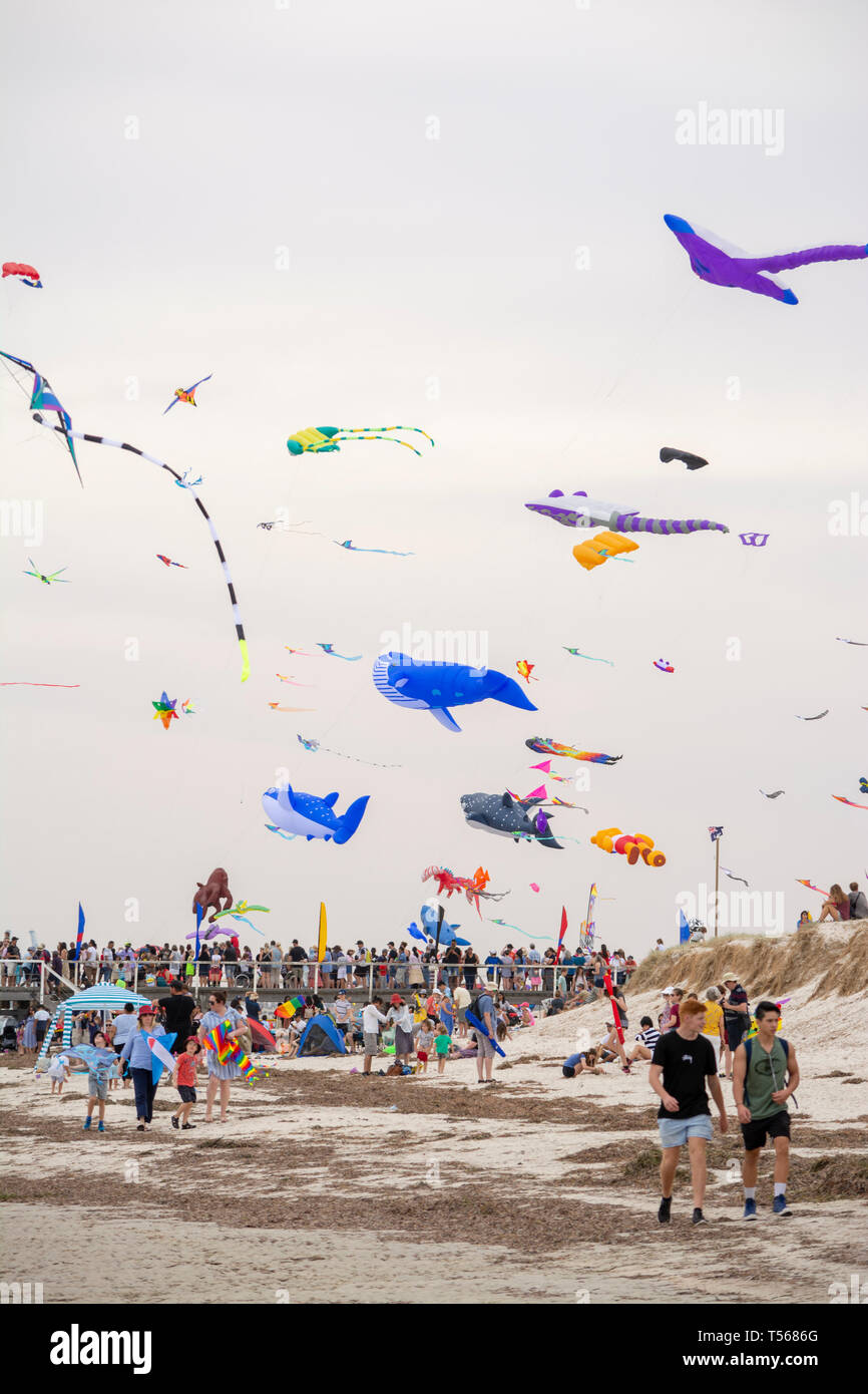 Semaphore, South Australia, Australien - 20. April 2019: Drachen fliegen und Massen an der Adelaide International Kite Festival 2019 Stockfoto