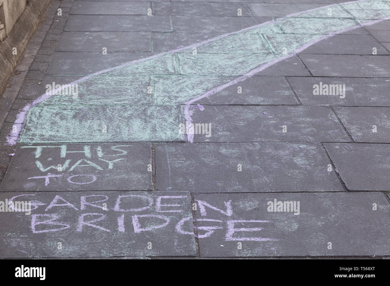 Aussterben Rebellion in der UK, Waterloo Bridge, London England Stockfoto