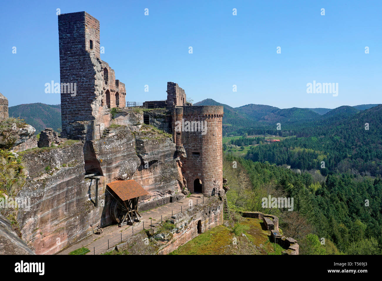 South Tower und Kran Rad des Rock die Burg Altdahn, eine mittelalterliche Festung im Village Dahn, Wasgau, Rheinland-Pfalz, Deutschland Stockfoto