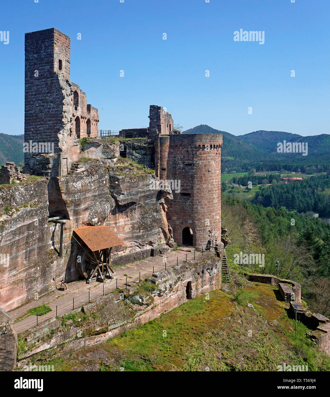 South Tower und Kran Rad des Rock die Burg Altdahn, eine mittelalterliche Festung im Village Dahn, Wasgau, Rheinland-Pfalz, Deutschland Stockfoto