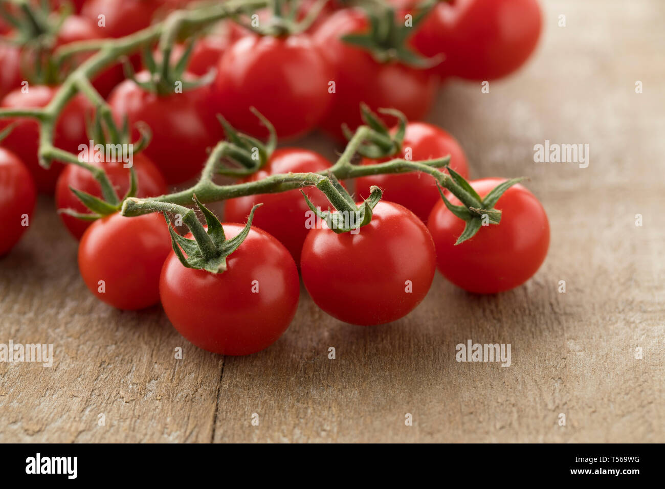 Weinstock mit süßen roten reifen Kirschtomaten auf einem Weinstock Stockfoto