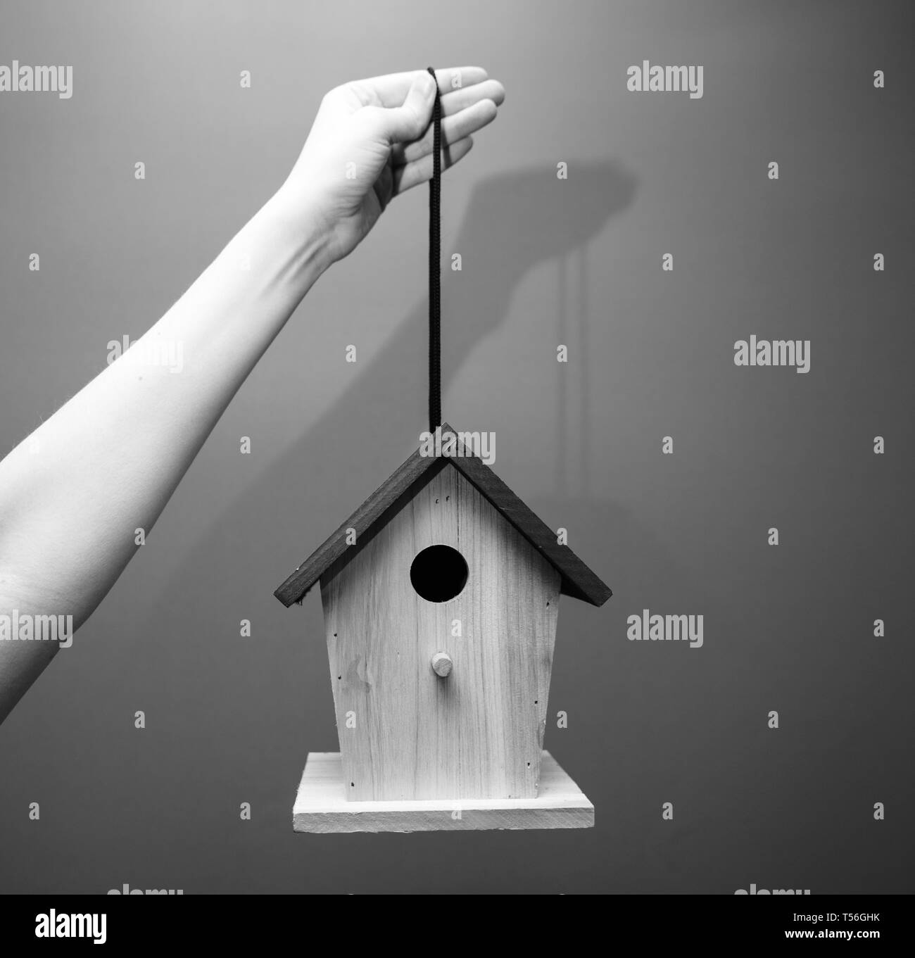 Erwachsene Frau Hand, die von einem Thread Vögel nisten Vogelhaus Haus im Garten an einem Baum installiert werden - Schwarz und Weiß gehängt Stockfoto