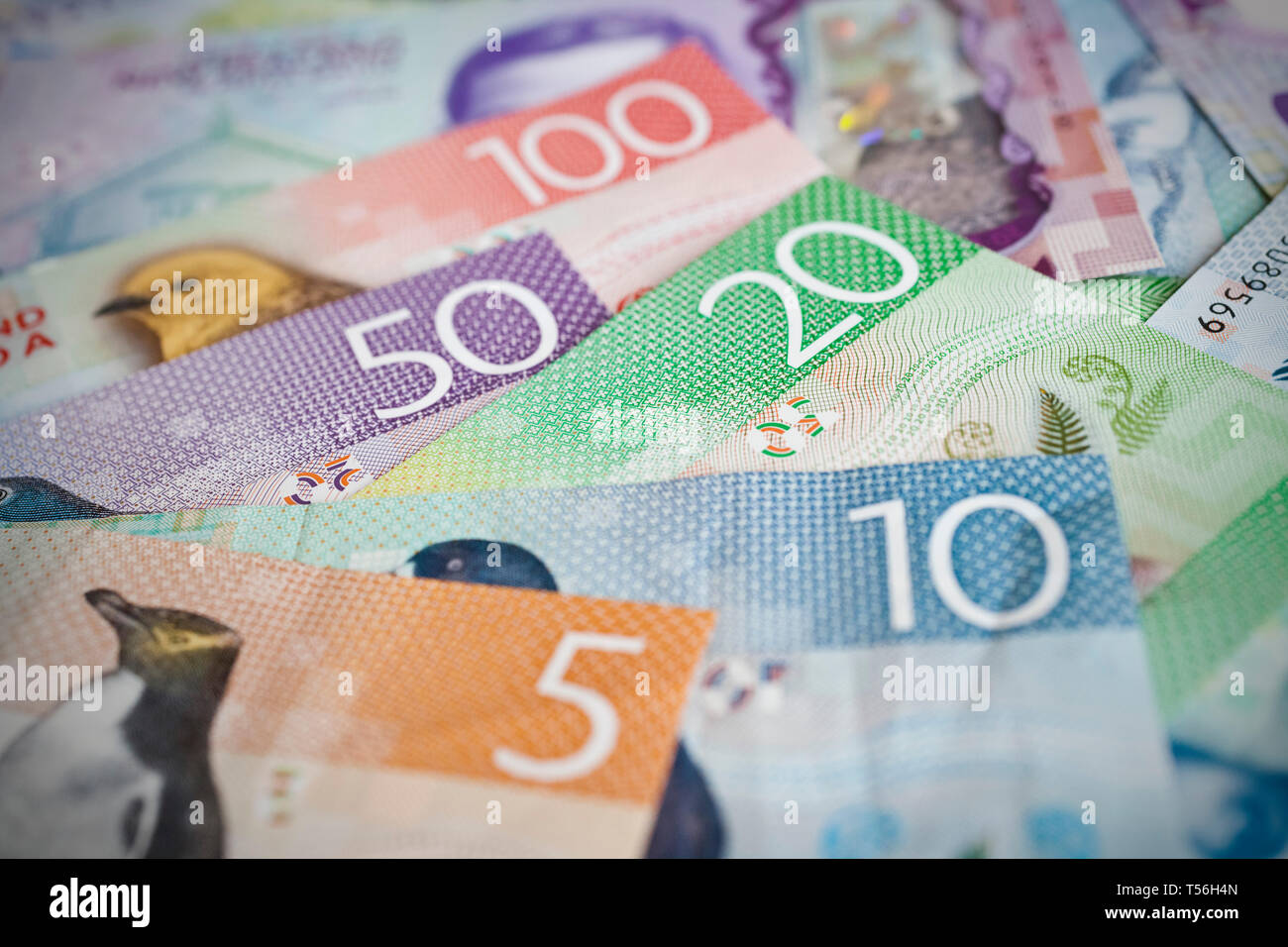 Stapel von Neuseeland Währung flach auf Tabelle Stockfoto