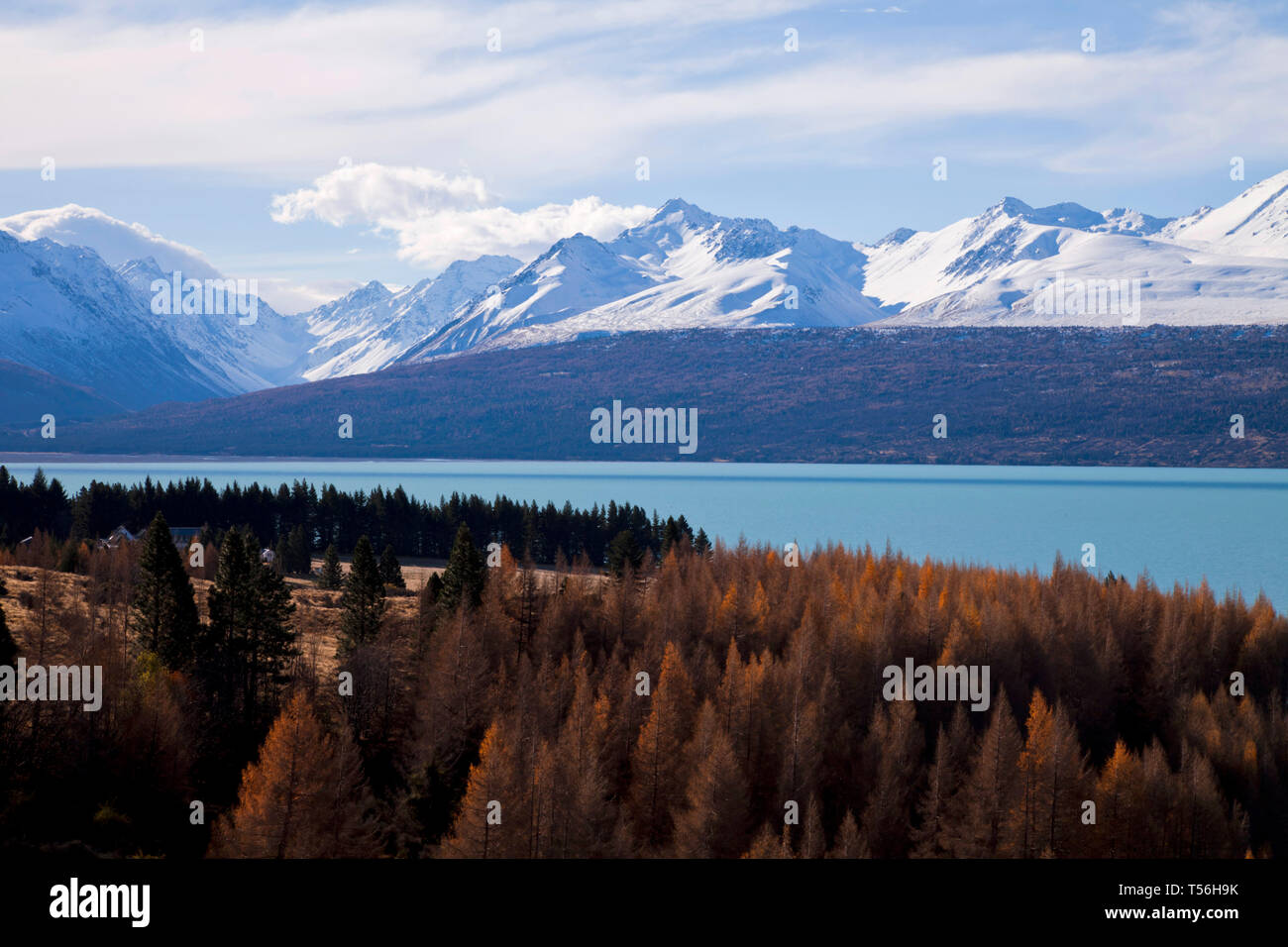 Lake Pukaki mit Mt Cook National Park in den Hintergrund, MacKenzie District, Canterbury, Südinsel, Neuseeland. Stockfoto