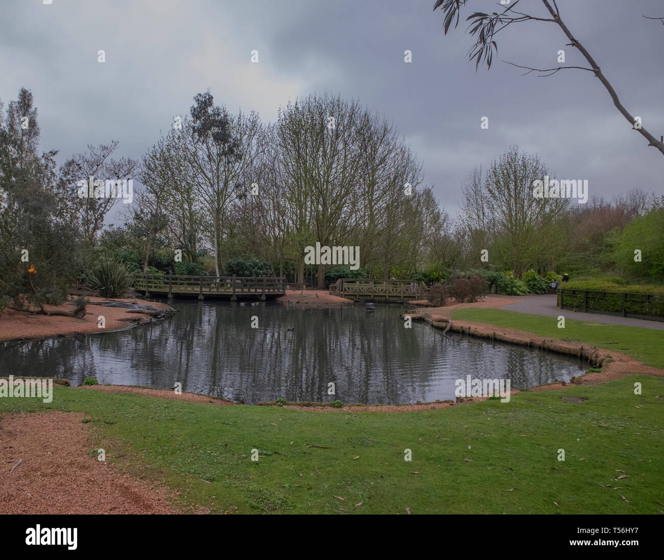 Feuchtgebiete Center - London Stockfoto