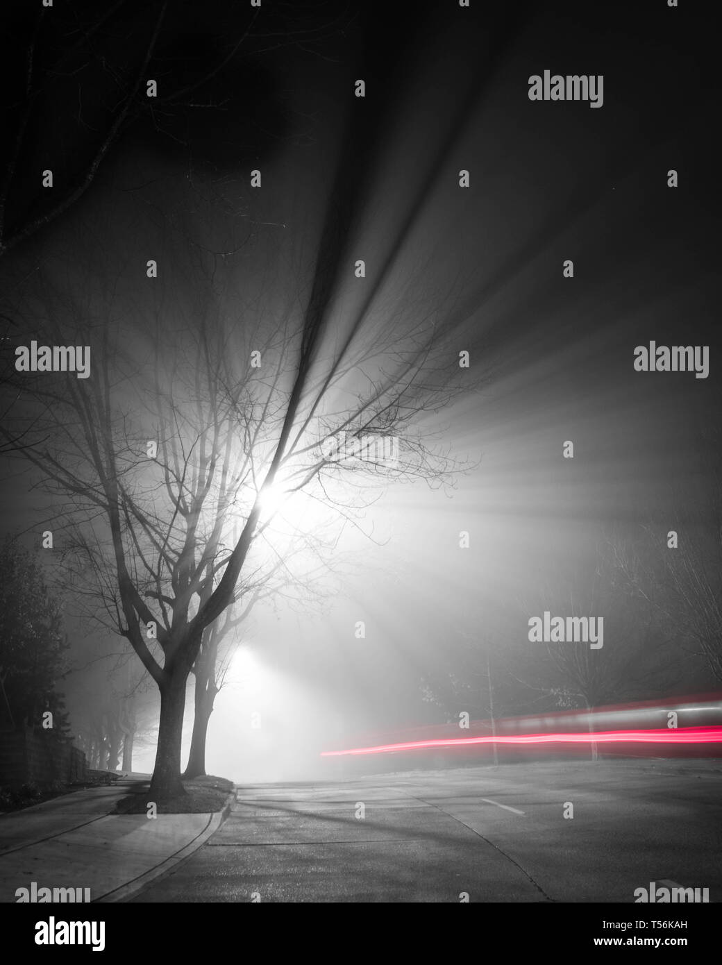 Lange Belichtung Auto fahren auf einer Moggy Nacht in einer urbanen Landschaft Stockfoto