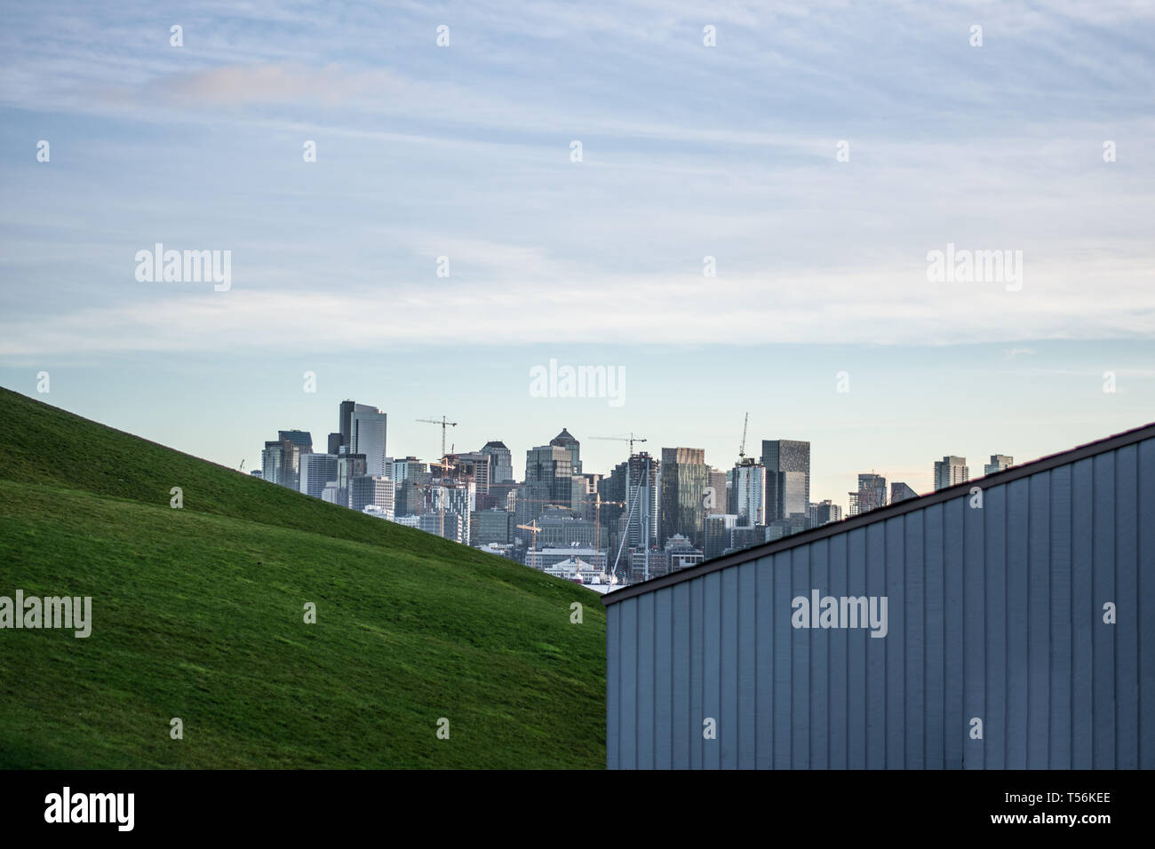 Blick auf die Skyline von Seattle gas Park Stockfoto