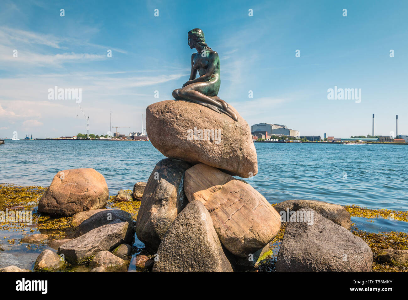 Die Statue der Kleinen Meerjungfrau in Kopenhagen Stockfoto