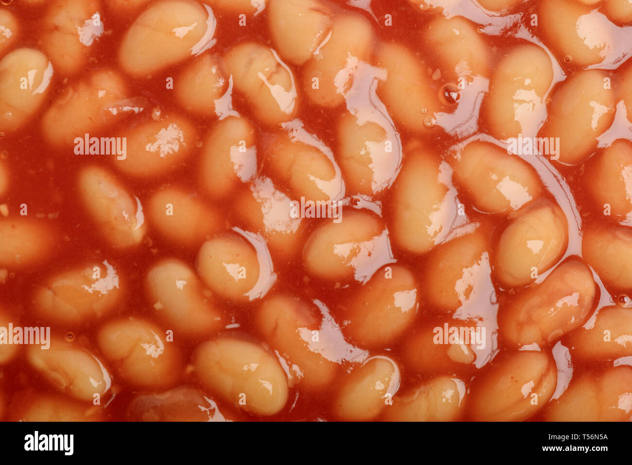 Gebackene Bohnen in Tomatensoße Hintergrundmuster Draufsicht Stockfoto