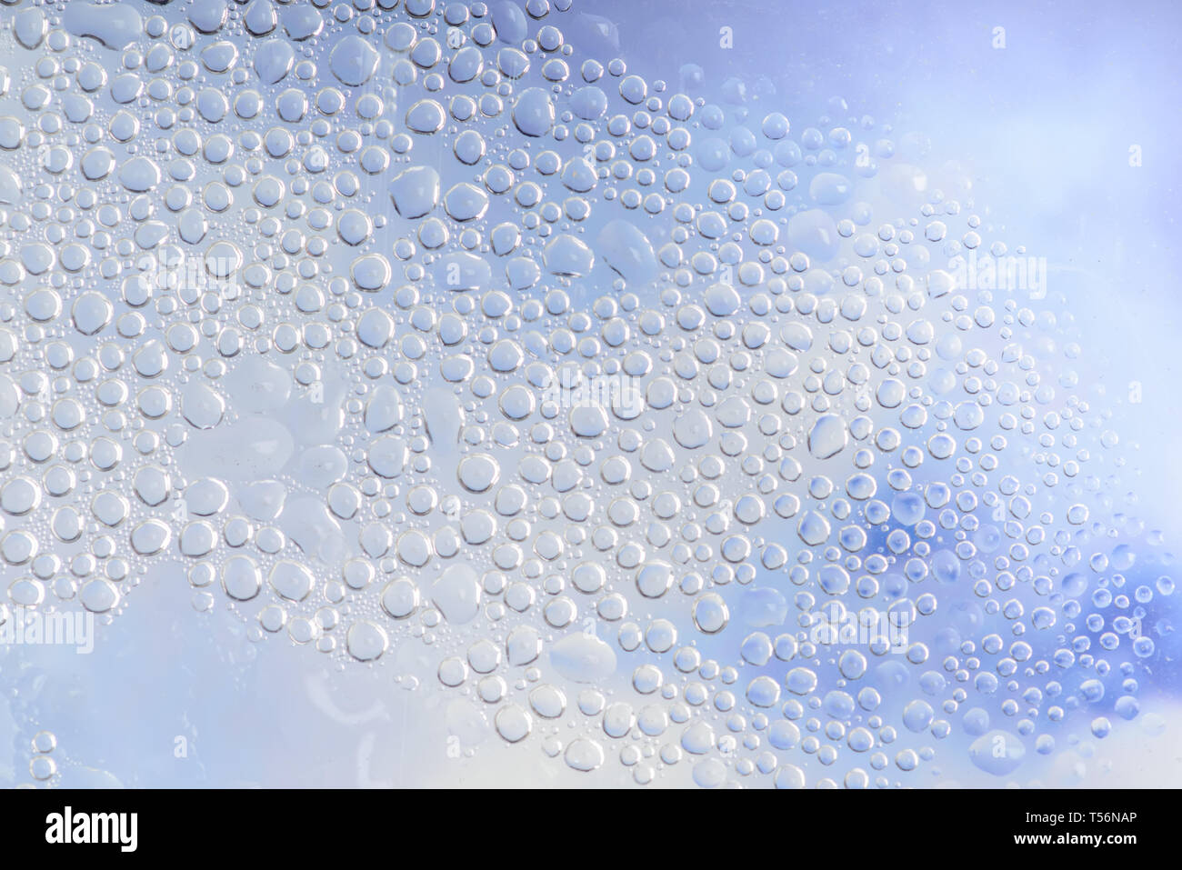 Wassertropfen auf Glas, Regentropfen Hintergrund oder Textur Stockfoto