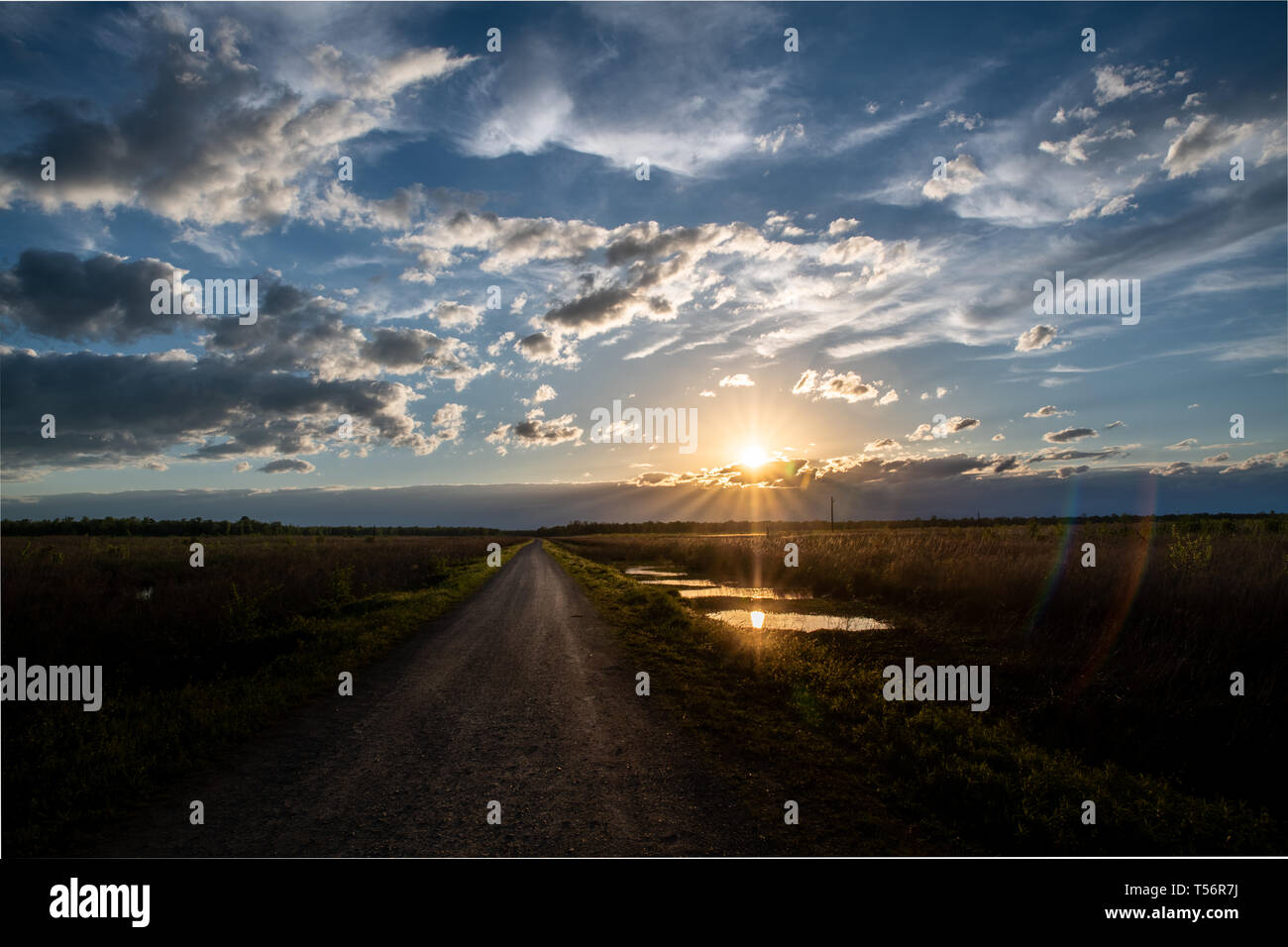 Eine Straße führt bis zum Horizont in einem Sumpf und sumpfige Feuchtgebiete bei Sonnenuntergang Stockfoto