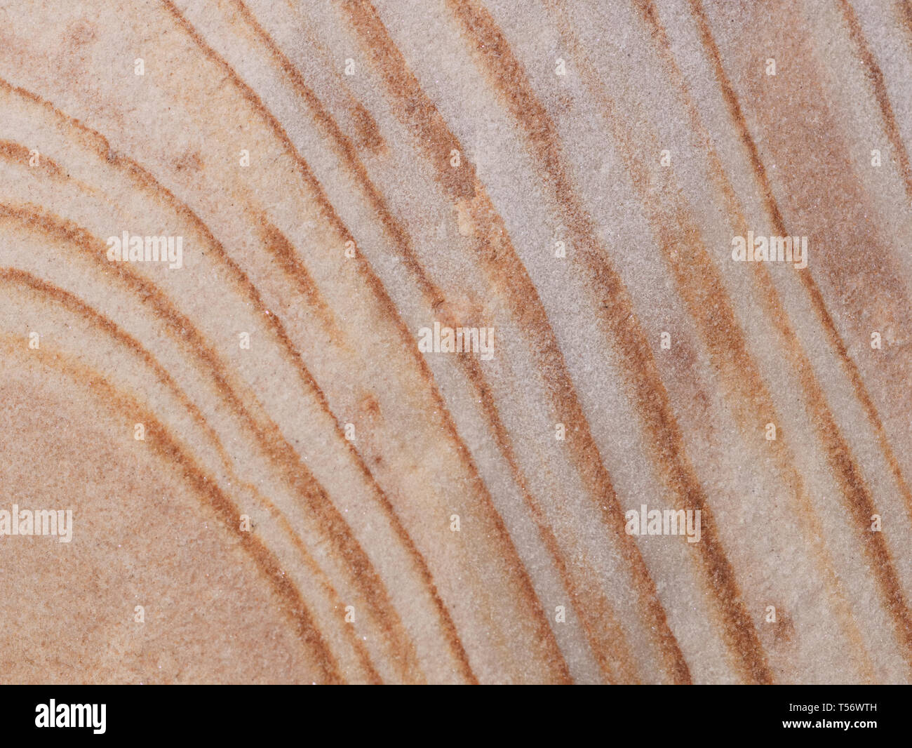 White Rock mit diagonal rot orange Streifen gefunden die Wüste im Red Rock Canyon, Las Vegas, Nevada Stockfoto